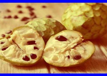 शरीफा खाने से रहेंगे हमेशा जवाँ आप