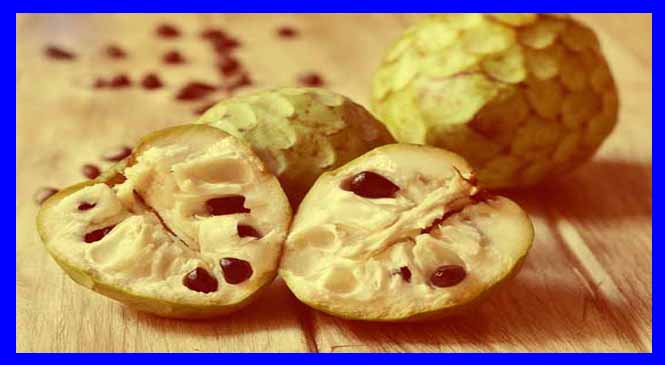 शरीफा खाने से रहेंगे हमेशा जवाँ आप