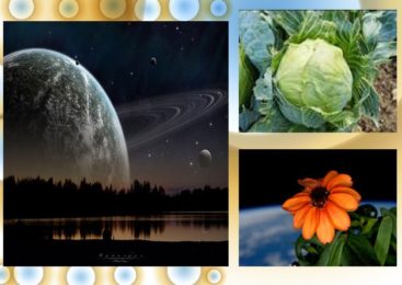 अब अंतरिक्ष से आयेगी पत्ता गोभी …..