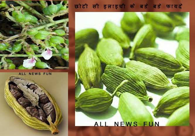 elaichi ke fayde nuksan