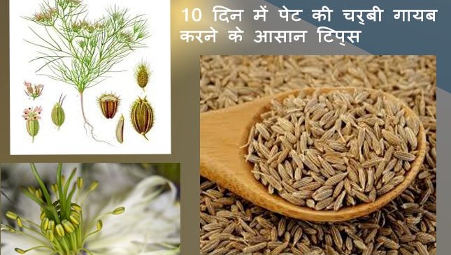 जीरा के फायदे और नुकसान | jeera ke fayde jeera ke nuksan