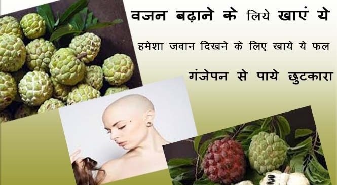 यह फल दिलाएगा आपको गंजेपन से छुटकारा