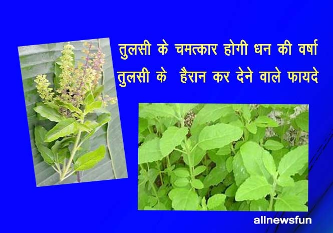 tulsi ke fayde